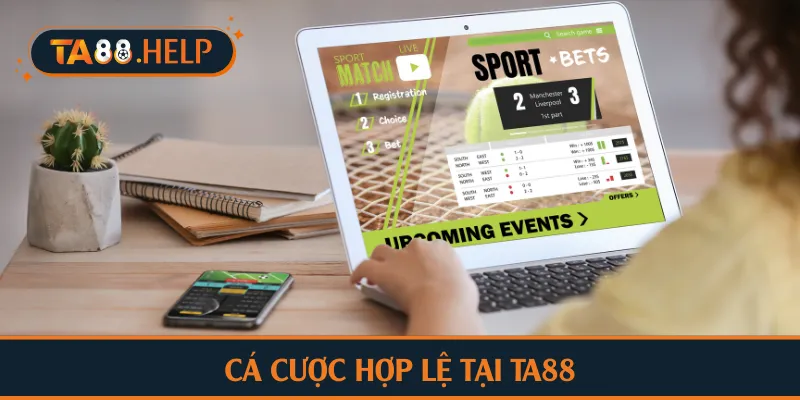 Cá cược hợp lệ tại TA88